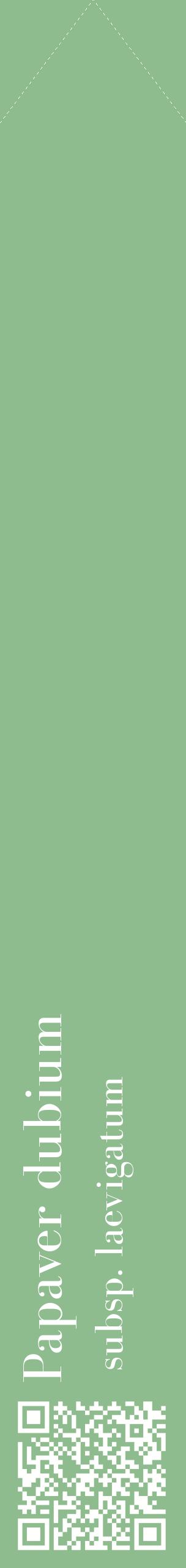 Étiquette de : Papaver dubium subsp. laevigatum - format c - style blanche13_simplebod avec qrcode et comestibilité