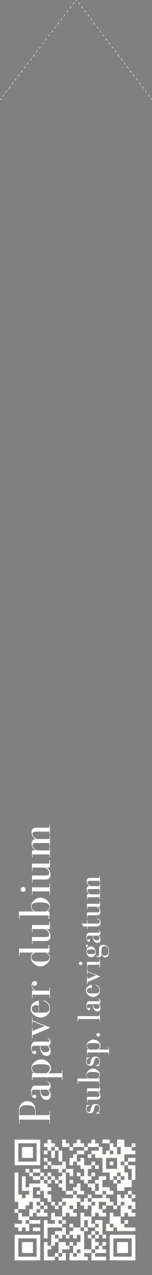 Étiquette de : Papaver dubium subsp. laevigatum - format c - style blanche57_simplebod avec qrcode et comestibilité