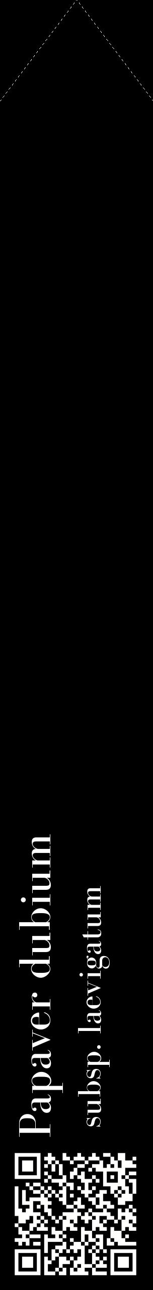 Étiquette de : Papaver dubium subsp. laevigatum - format c - style blanche59_simplebod avec qrcode et comestibilité