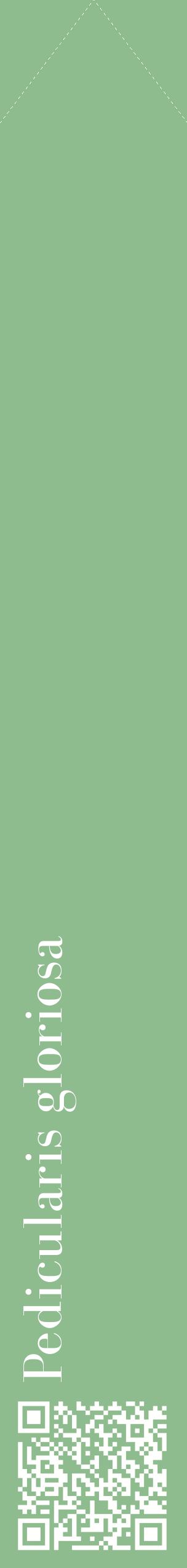 Étiquette de : Pedicularis gloriosa - format c - style blanche13_simplebod avec qrcode et comestibilité