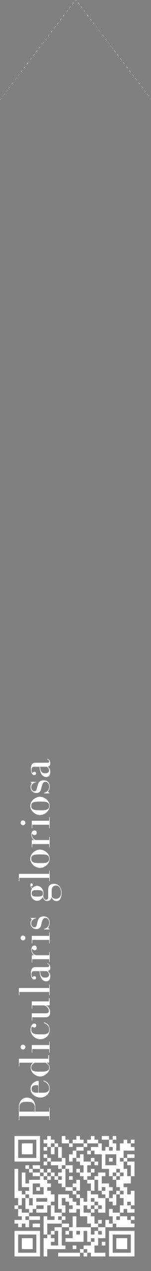 Étiquette de : Pedicularis gloriosa - format c - style blanche57_simplebod avec qrcode et comestibilité