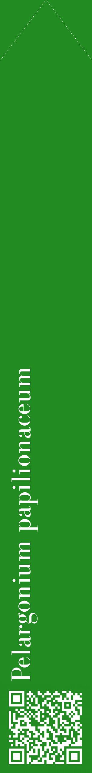 Étiquette de : Pelargonium papilionaceum - format c - style blanche10_simplebod avec qrcode et comestibilité