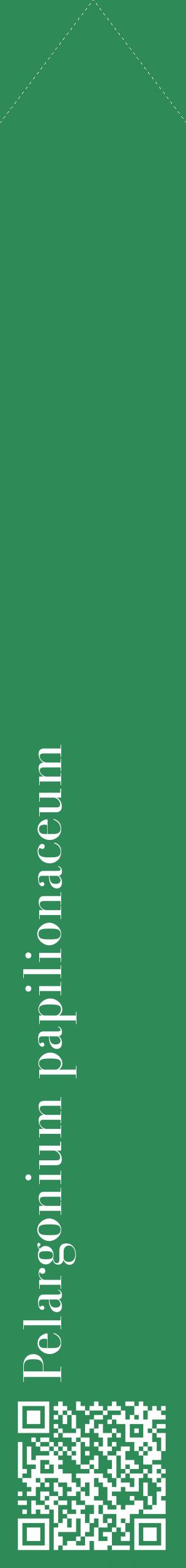 Étiquette de : Pelargonium papilionaceum - format c - style blanche11_simplebod avec qrcode et comestibilité