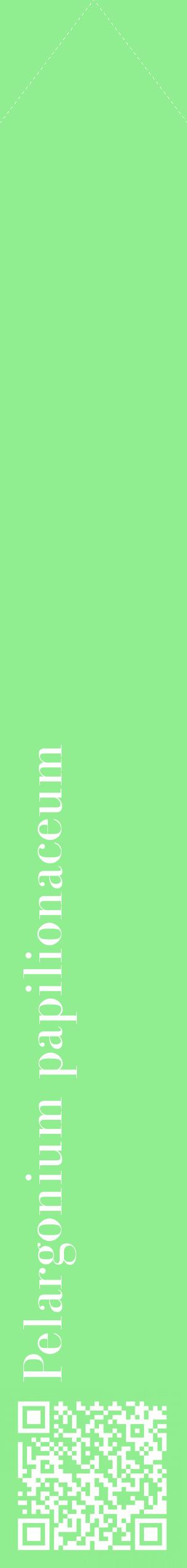 Étiquette de : Pelargonium papilionaceum - format c - style blanche15_simplebod avec qrcode et comestibilité