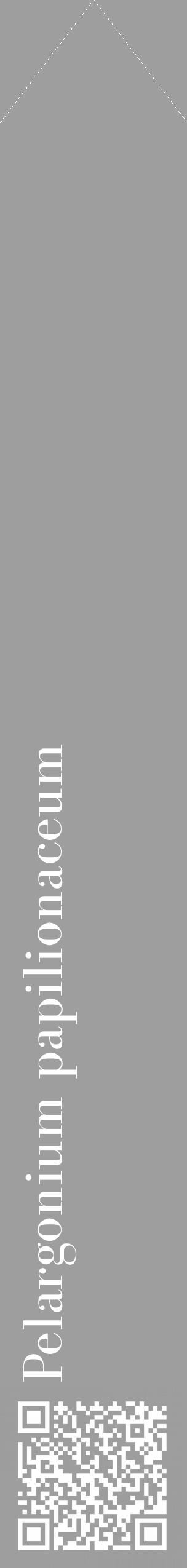 Étiquette de : Pelargonium papilionaceum - format c - style blanche23_simple_simplebod avec qrcode et comestibilité - position verticale