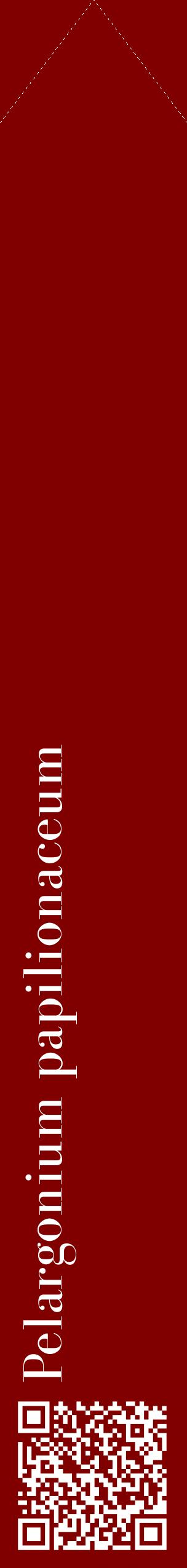 Étiquette de : Pelargonium papilionaceum - format c - style blanche29_simplebod avec qrcode et comestibilité