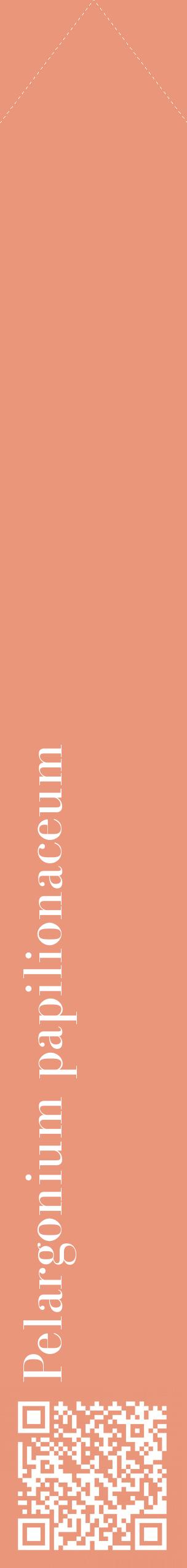 Étiquette de : Pelargonium papilionaceum - format c - style blanche37_simplebod avec qrcode et comestibilité