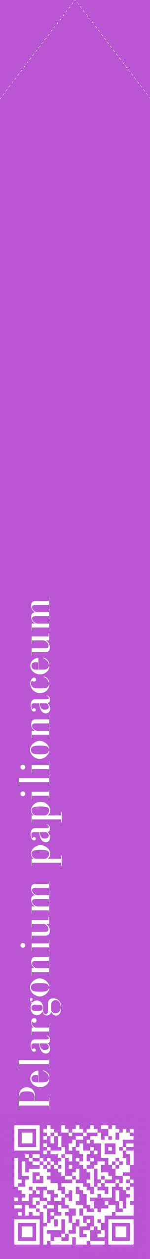 Étiquette de : Pelargonium papilionaceum - format c - style blanche50_simplebod avec qrcode et comestibilité