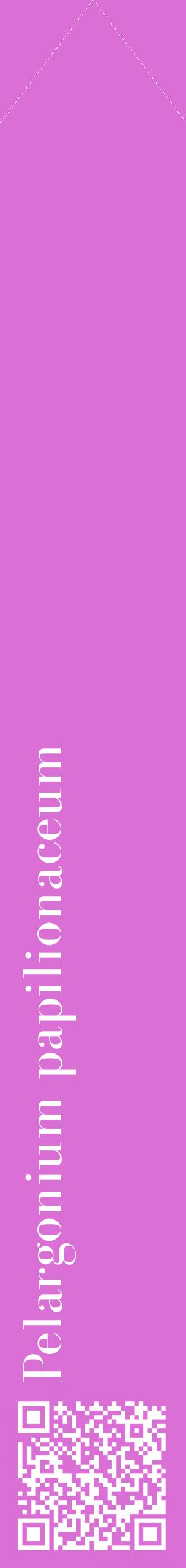 Étiquette de : Pelargonium papilionaceum - format c - style blanche52_simplebod avec qrcode et comestibilité