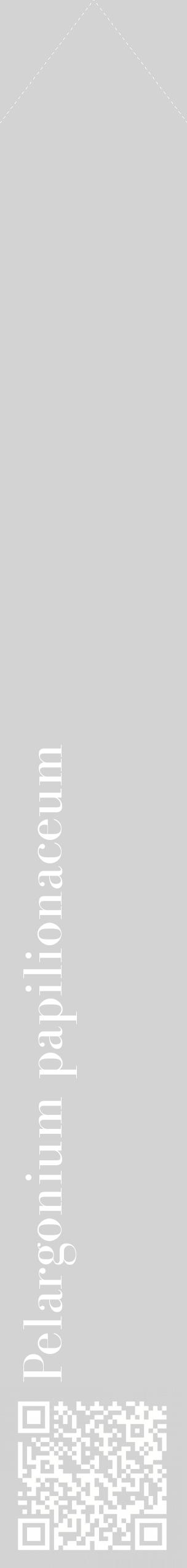 Étiquette de : Pelargonium papilionaceum - format c - style blanche56_simplebod avec qrcode et comestibilité