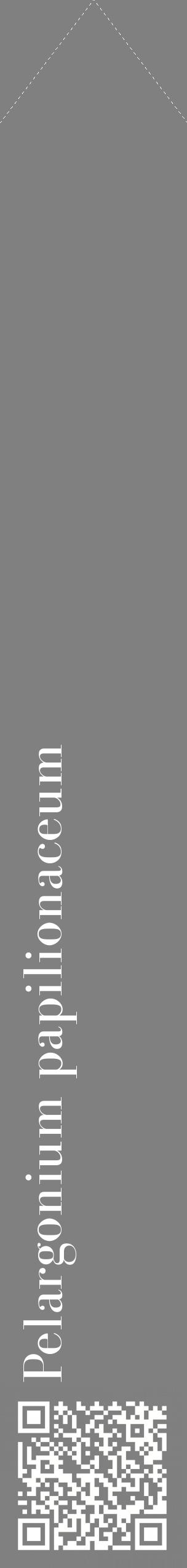 Étiquette de : Pelargonium papilionaceum - format c - style blanche57_simplebod avec qrcode et comestibilité