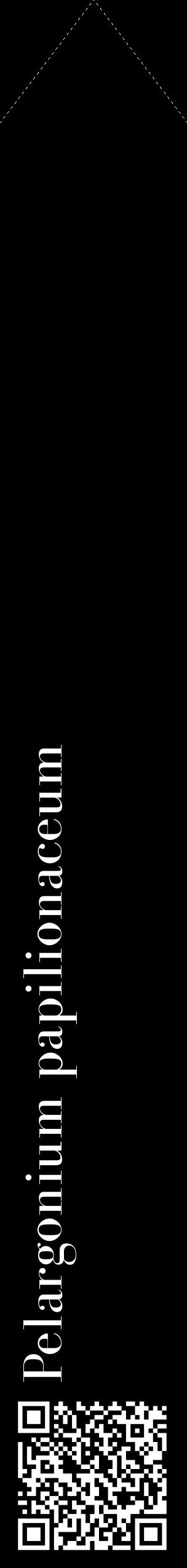 Étiquette de : Pelargonium papilionaceum - format c - style blanche59_simplebod avec qrcode et comestibilité
