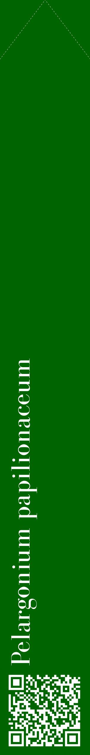 Étiquette de : Pelargonium papilionaceum - format c - style blanche8_simplebod avec qrcode et comestibilité