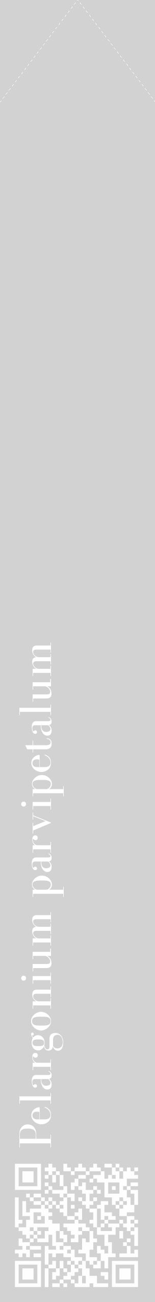 Étiquette de : Pelargonium parvipetalum - format c - style blanche14_simple_simplebod avec qrcode et comestibilité - position verticale