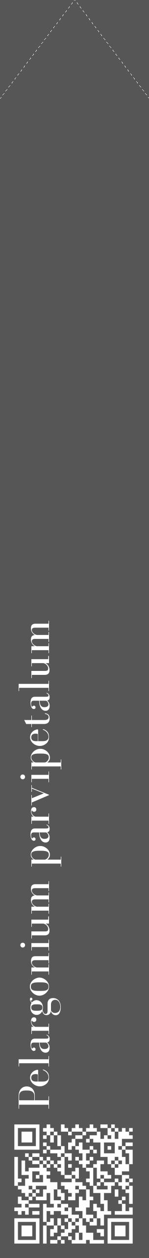 Étiquette de : Pelargonium parvipetalum - format c - style blanche45_simple_simplebod avec qrcode et comestibilité - position verticale