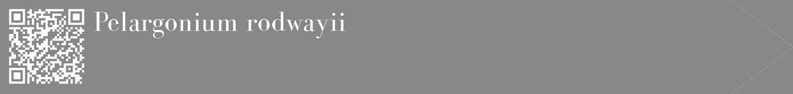 Étiquette de : Pelargonium rodwayii - format c - style blanche12_simple_simplebod avec qrcode et comestibilité