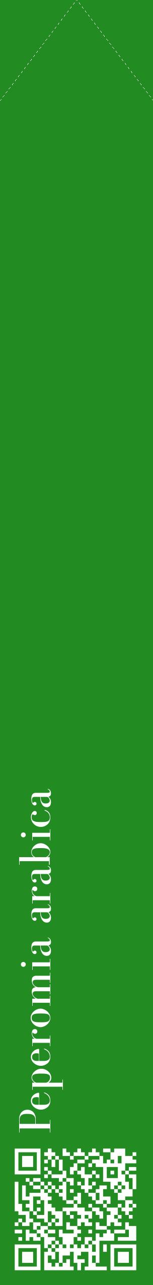 Étiquette de : Peperomia arabica - format c - style blanche10_simplebod avec qrcode et comestibilité