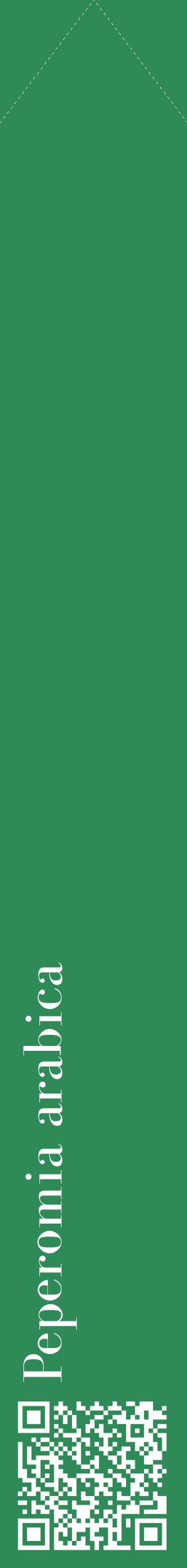 Étiquette de : Peperomia arabica - format c - style blanche11_simplebod avec qrcode et comestibilité