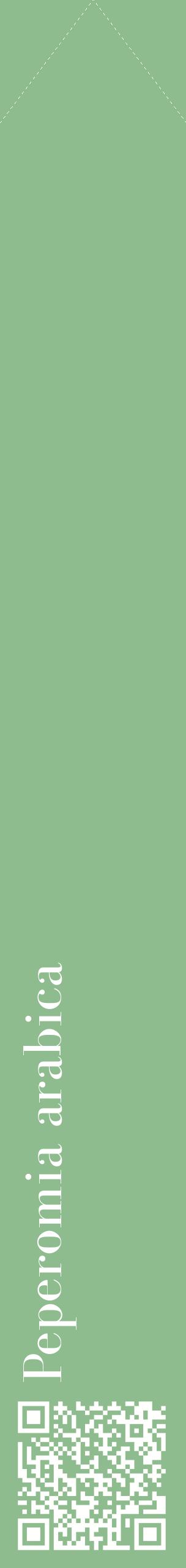 Étiquette de : Peperomia arabica - format c - style blanche13_simplebod avec qrcode et comestibilité