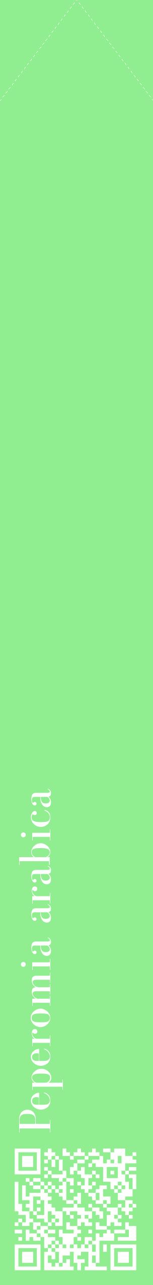 Étiquette de : Peperomia arabica - format c - style blanche15_simplebod avec qrcode et comestibilité