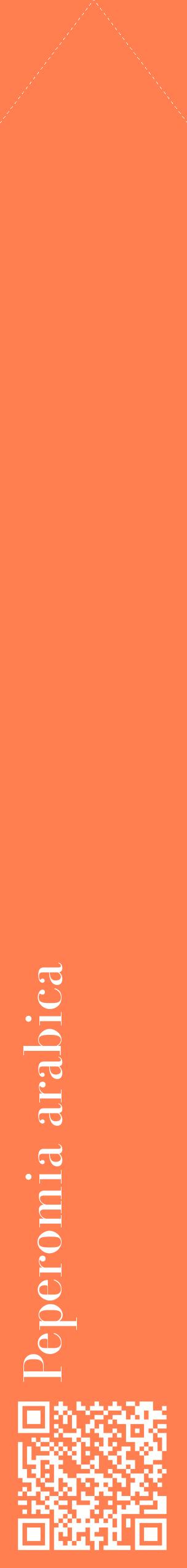 Étiquette de : Peperomia arabica - format c - style blanche24_simplebod avec qrcode et comestibilité