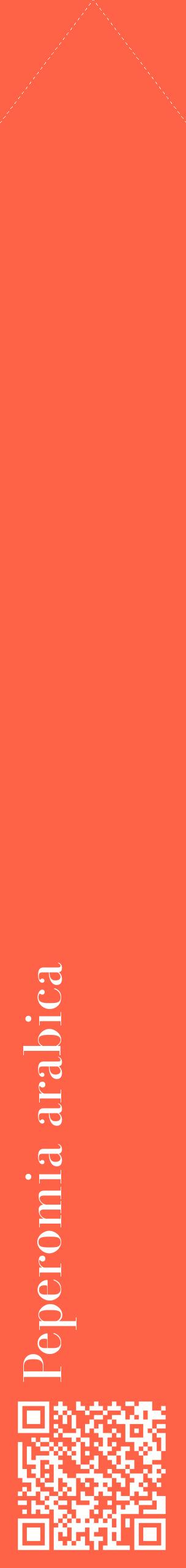 Étiquette de : Peperomia arabica - format c - style blanche25_simplebod avec qrcode et comestibilité