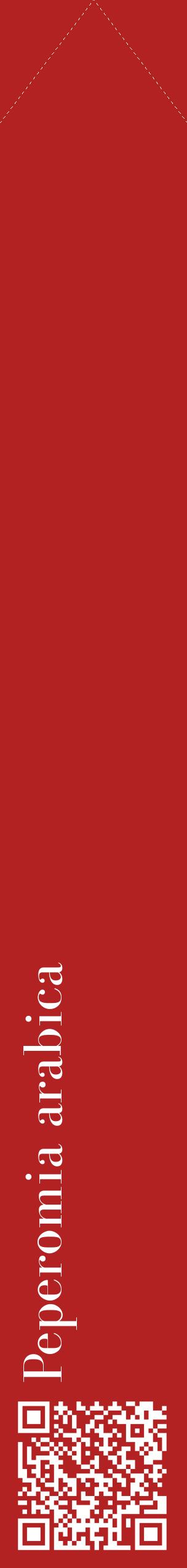 Étiquette de : Peperomia arabica - format c - style blanche28_simplebod avec qrcode et comestibilité