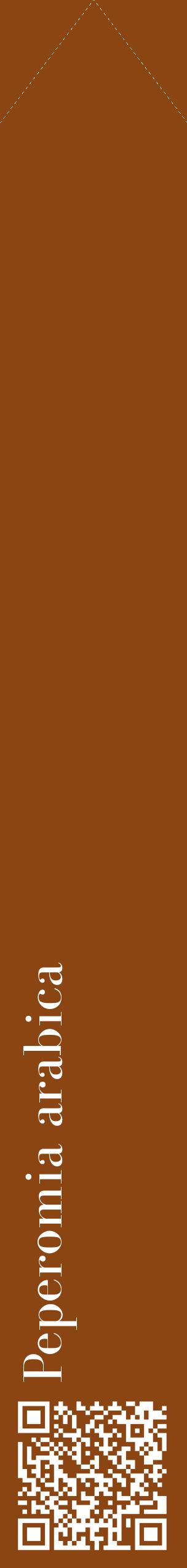 Étiquette de : Peperomia arabica - format c - style blanche30_simplebod avec qrcode et comestibilité