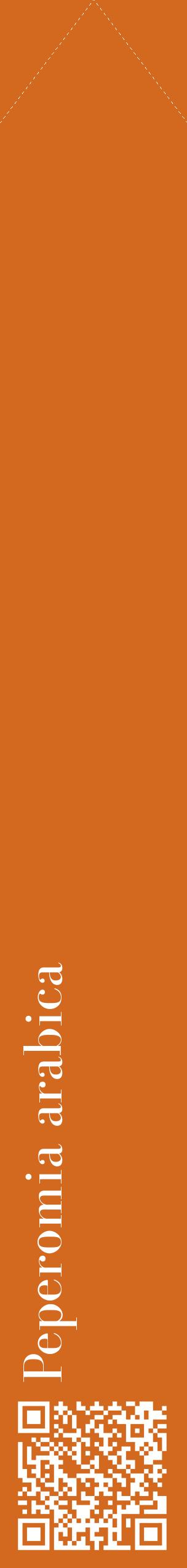 Étiquette de : Peperomia arabica - format c - style blanche31_simplebod avec qrcode et comestibilité