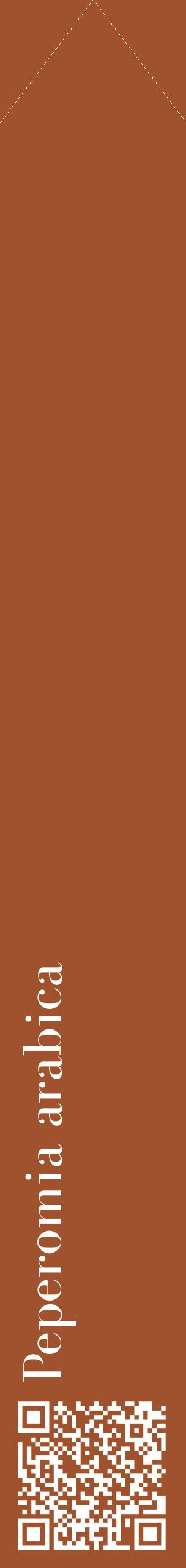 Étiquette de : Peperomia arabica - format c - style blanche32_simplebod avec qrcode et comestibilité