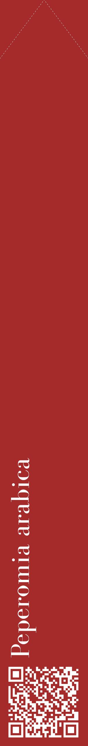Étiquette de : Peperomia arabica - format c - style blanche33_simplebod avec qrcode et comestibilité