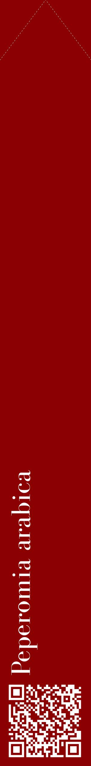 Étiquette de : Peperomia arabica - format c - style blanche34_simplebod avec qrcode et comestibilité