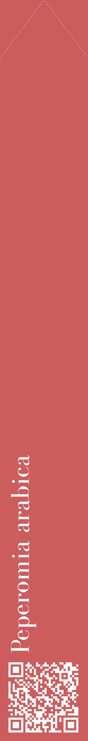 Étiquette de : Peperomia arabica - format c - style blanche35_simplebod avec qrcode et comestibilité