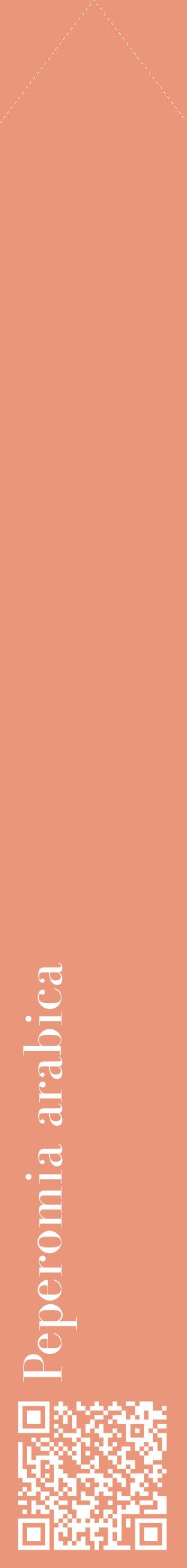 Étiquette de : Peperomia arabica - format c - style blanche37_simplebod avec qrcode et comestibilité