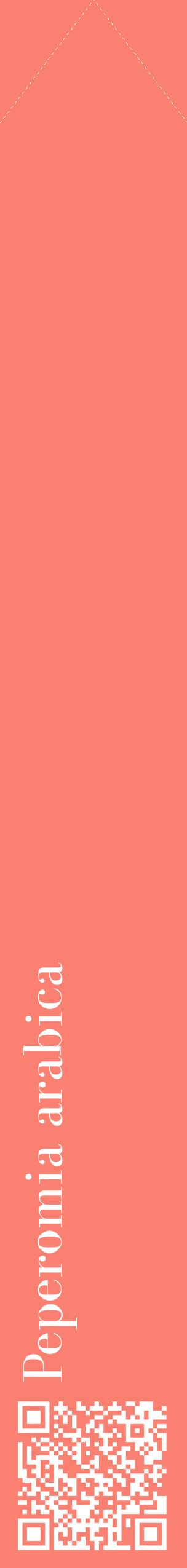 Étiquette de : Peperomia arabica - format c - style blanche38_simplebod avec qrcode et comestibilité
