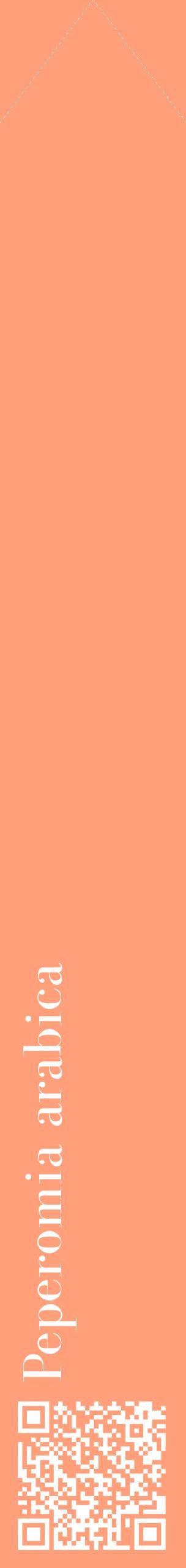 Étiquette de : Peperomia arabica - format c - style blanche39_simplebod avec qrcode et comestibilité