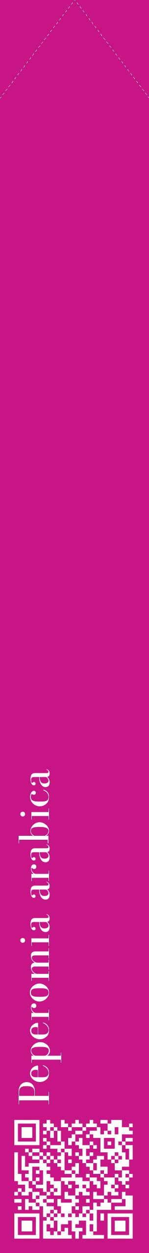 Étiquette de : Peperomia arabica - format c - style blanche45_simplebod avec qrcode et comestibilité