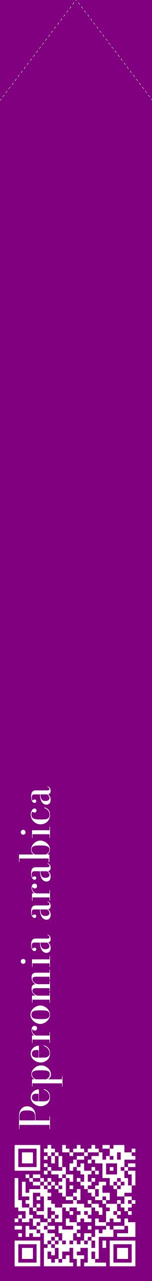 Étiquette de : Peperomia arabica - format c - style blanche46_simplebod avec qrcode et comestibilité