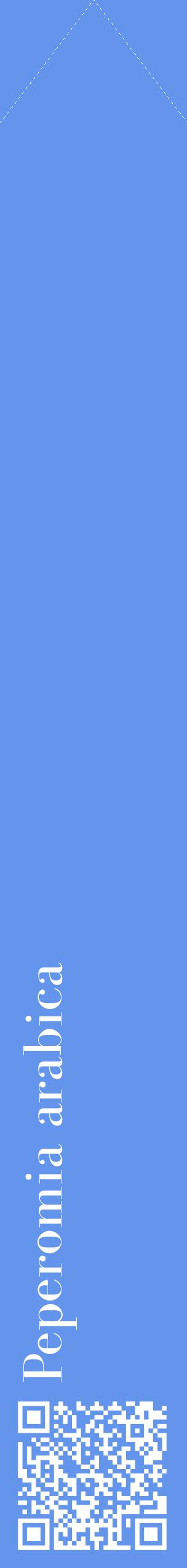 Étiquette de : Peperomia arabica - format c - style blanche4_simplebod avec qrcode et comestibilité