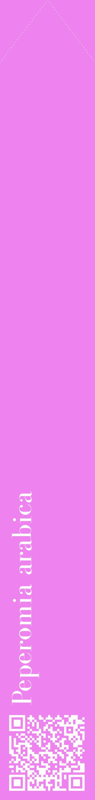 Étiquette de : Peperomia arabica - format c - style blanche53_simplebod avec qrcode et comestibilité