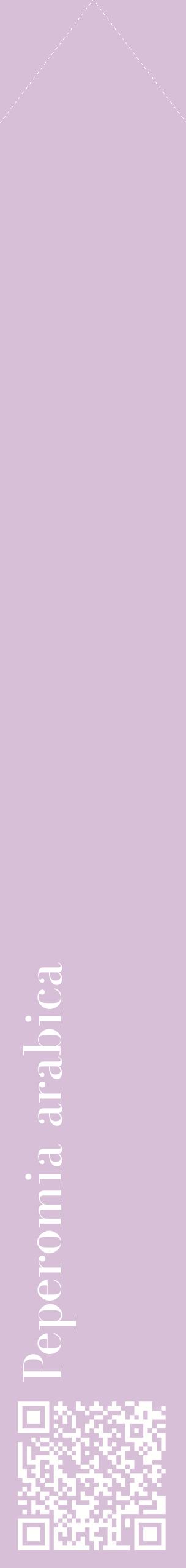Étiquette de : Peperomia arabica - format c - style blanche54_simplebod avec qrcode et comestibilité