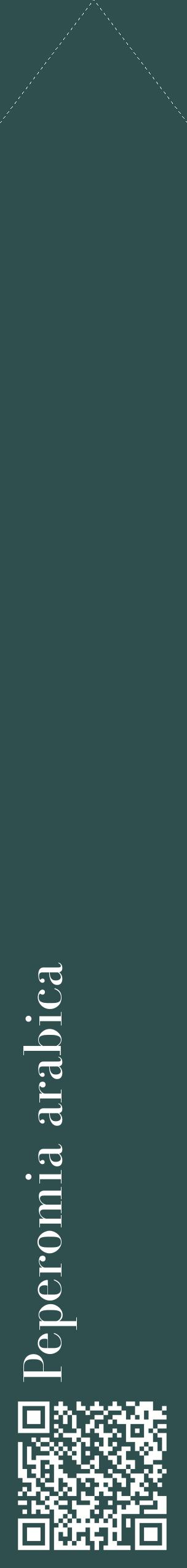 Étiquette de : Peperomia arabica - format c - style blanche58_simplebod avec qrcode et comestibilité
