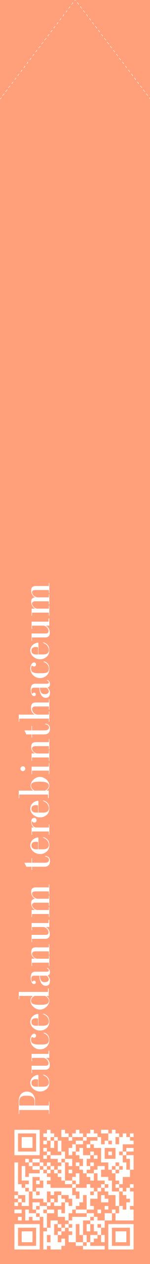 Étiquette de : Peucedanum terebinthaceum - format c - style blanche39_simplebod avec qrcode et comestibilité