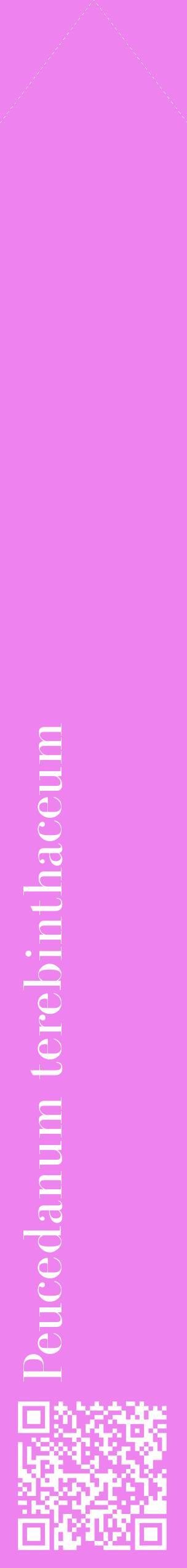 Étiquette de : Peucedanum terebinthaceum - format c - style blanche53_simplebod avec qrcode et comestibilité