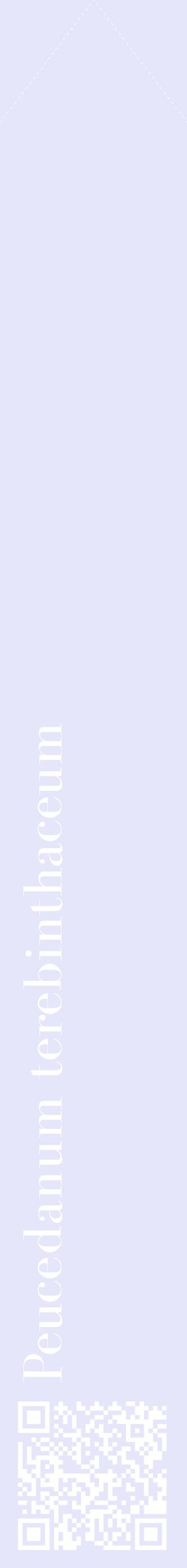 Étiquette de : Peucedanum terebinthaceum - format c - style blanche55_simplebod avec qrcode et comestibilité
