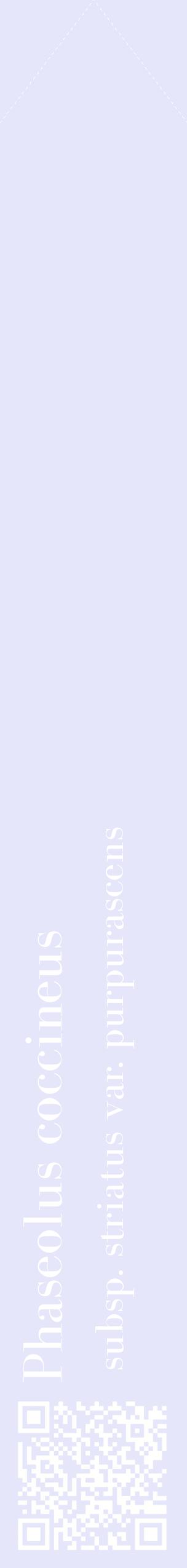 Étiquette de : Phaseolus coccineus subsp. striatus var. purpurascens - format c - style blanche55_simplebod avec qrcode et comestibilité