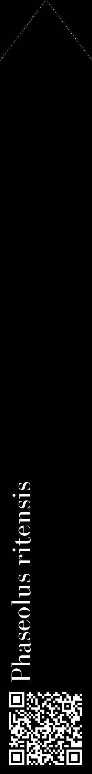 Étiquette de : Phaseolus ritensis - format c - style blanche59_simplebod avec qrcode et comestibilité