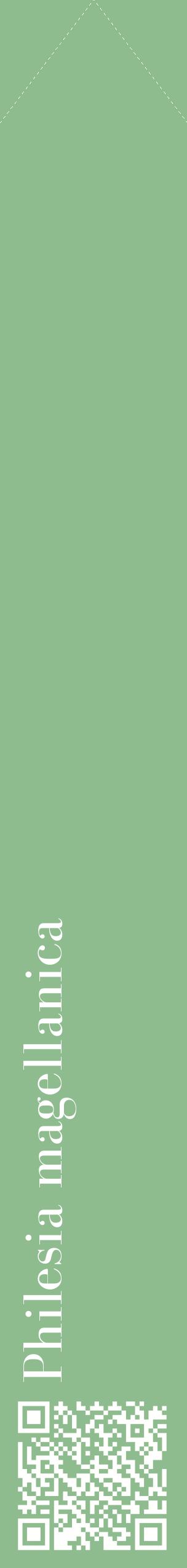 Étiquette de : Philesia magellanica - format c - style blanche13_simplebod avec qrcode et comestibilité