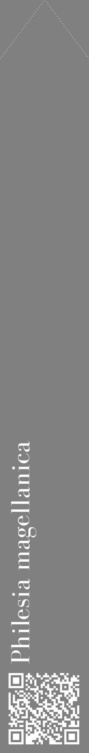 Étiquette de : Philesia magellanica - format c - style blanche57_simplebod avec qrcode et comestibilité