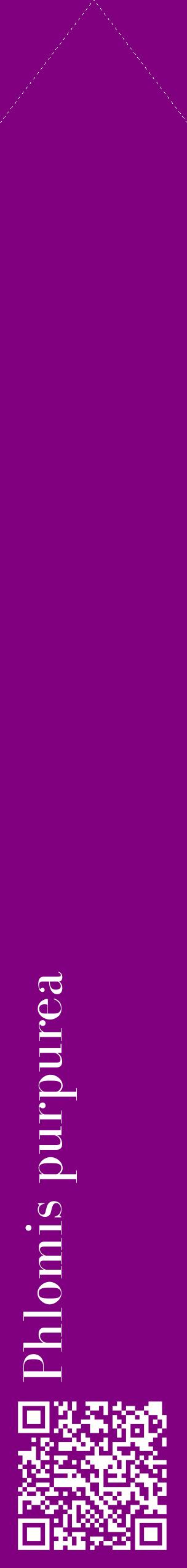 Étiquette de : Phlomis purpurea - format c - style blanche46_simplebod avec qrcode et comestibilité